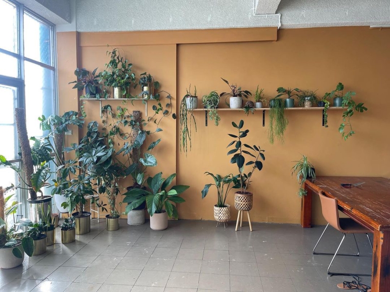 Plant filled haven for workshops or photo shoots photo 3