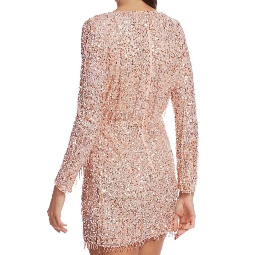 Rachel Gilbert Belle Mini Dress Pink Size 0/AU6 photo 3