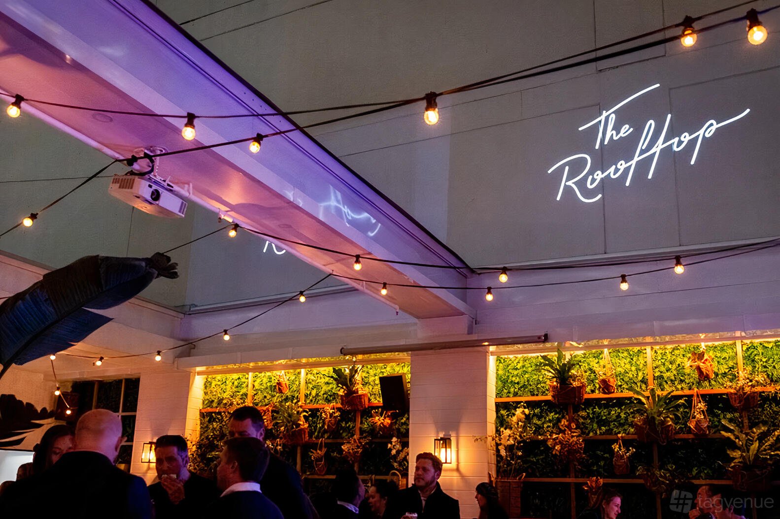 Entire Venue at The Rooftop Sydney photo 9