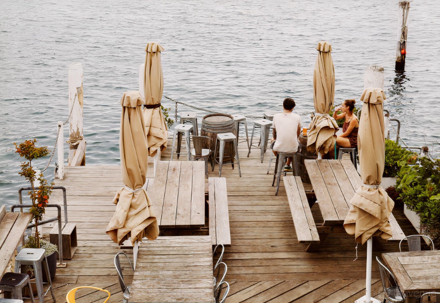 Flying Bear Deck at Foys Kirribilli photo 2