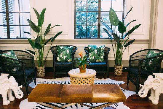 Faux Traveller Palm Plants photo 2