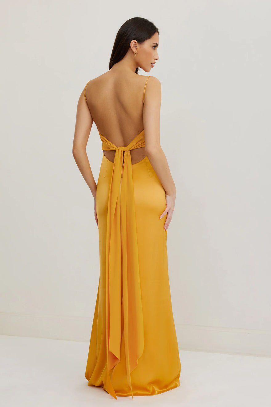 Lexi Ivy Dress | Honey photo 3