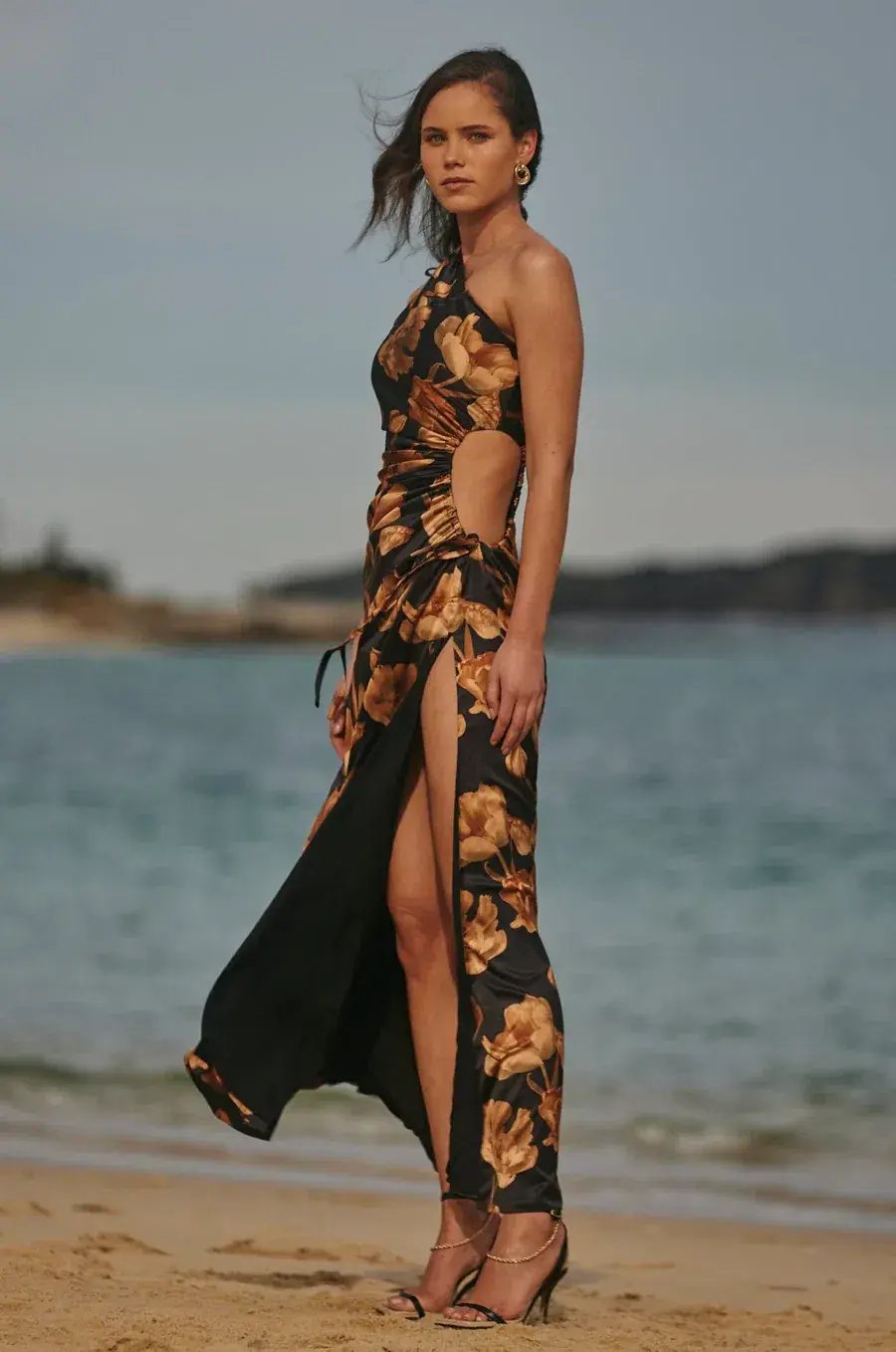 Sonya Nour Maxi Dress Marbella Print Size 6 / XS photo 2