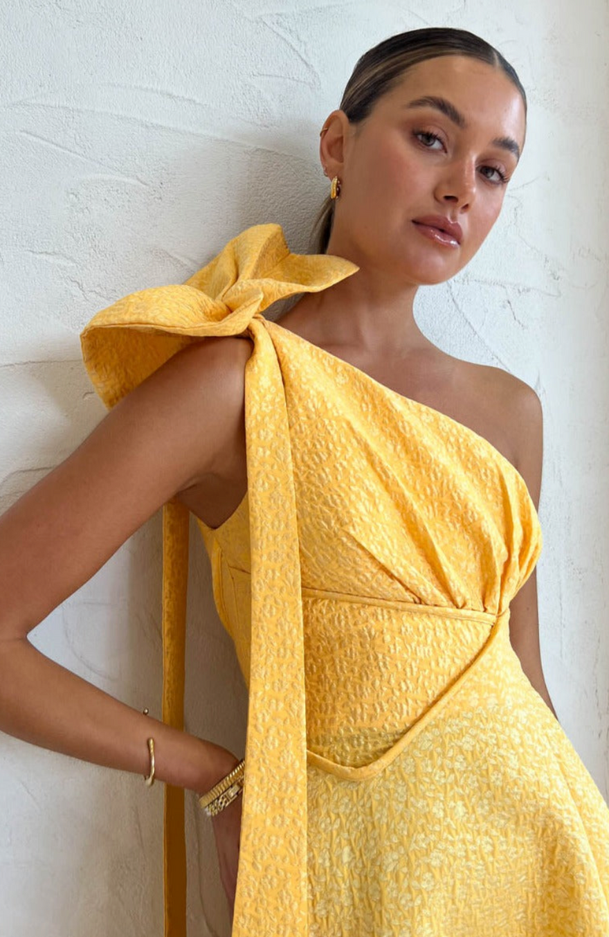 Rachel Gilbert Emiliano Gown photo 4