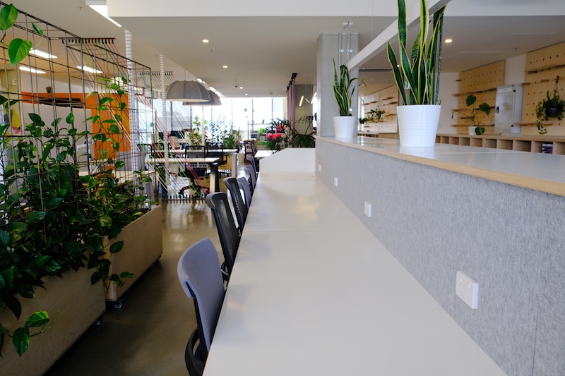 Vibrant coworking space - Cremorne photo 4