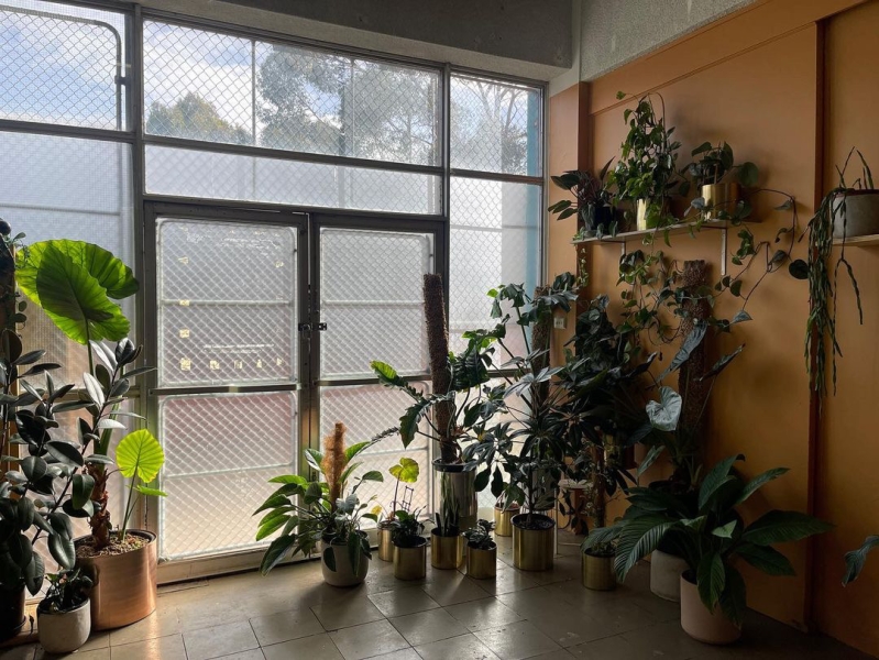 Plant filled haven for workshops or photo shoots photo 4