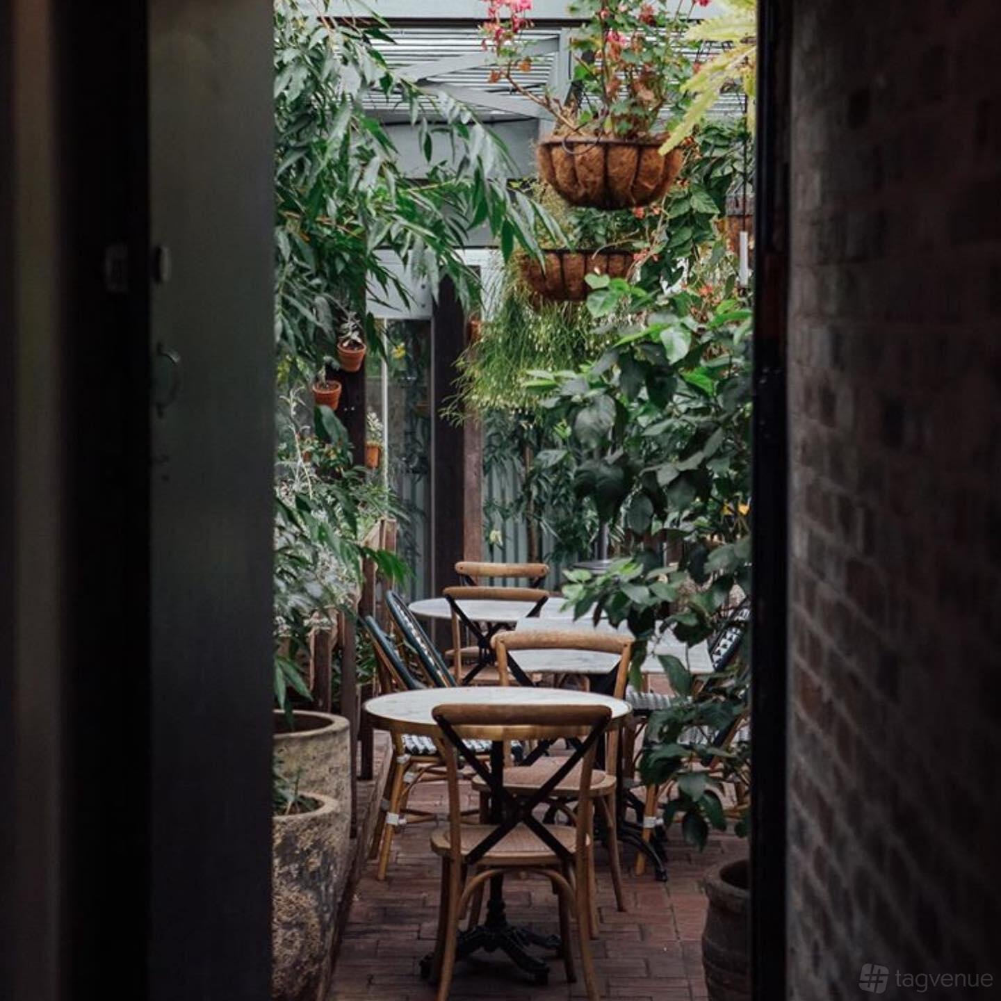 Back Area at Zia Kitchen photo 2