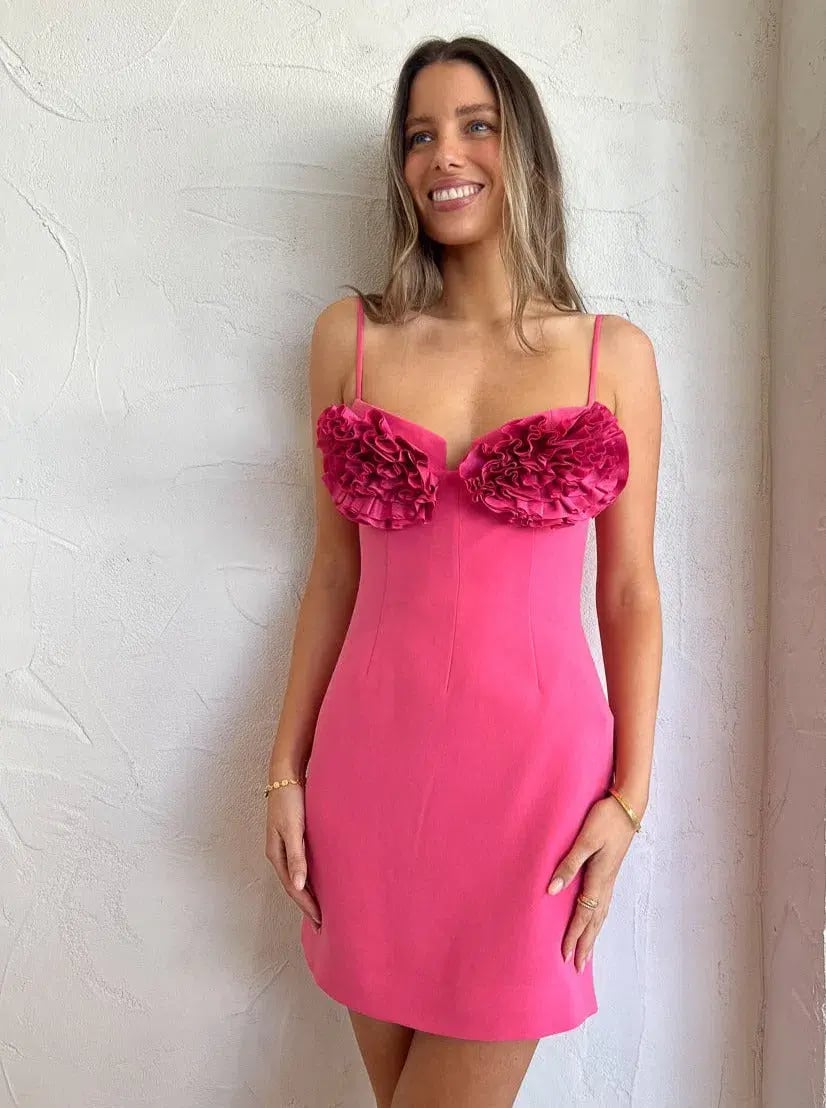 Rachel Gilbert Margot Mini Dress in Pink Size AU 12 photo 8