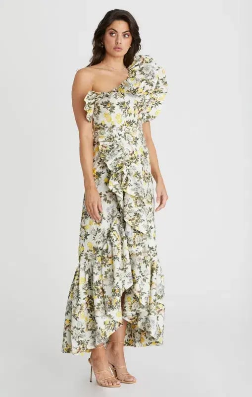 Aqua Blu Giselle Dress Clementine Print Size 10 photo 3