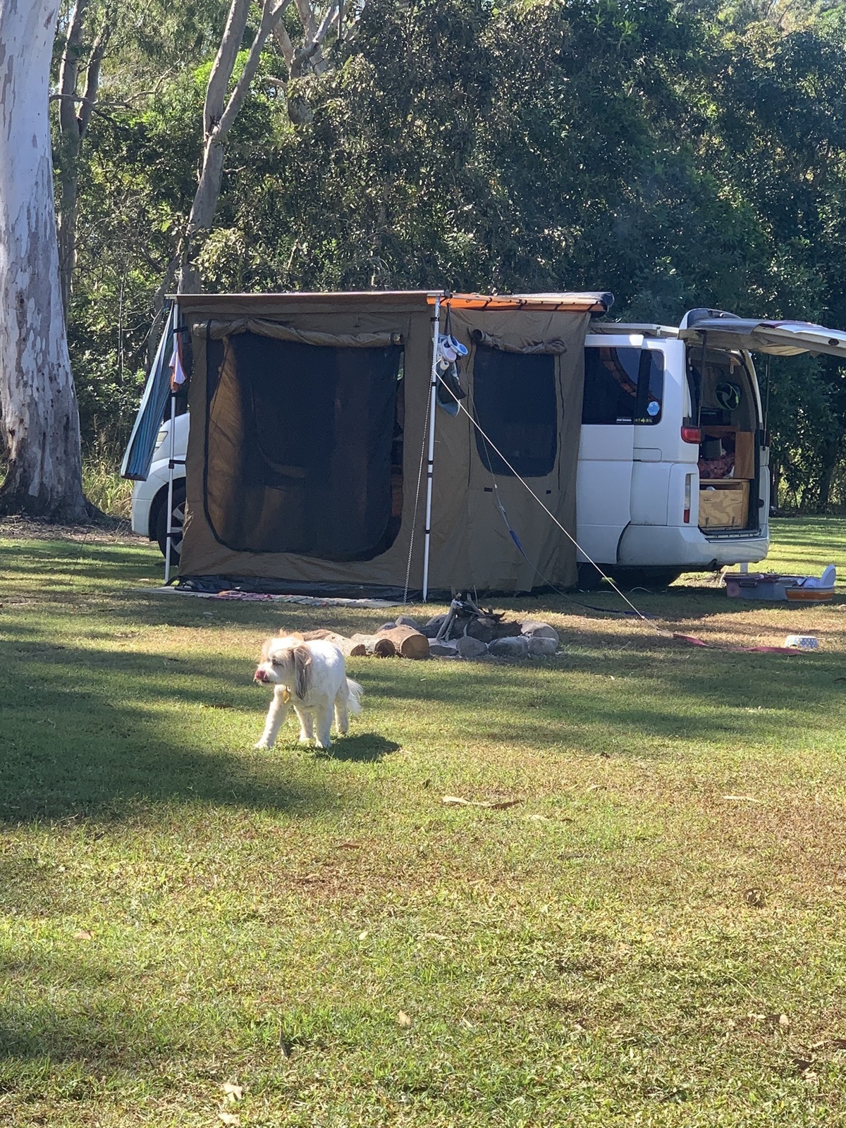 Ellie photo 2