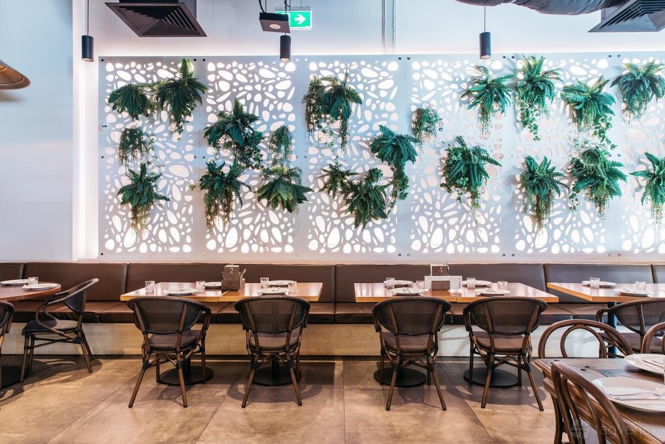 Hanging Gardens at ALEX&CO. photo 4