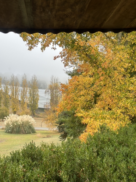 Artist Studio at The Farm photo 5