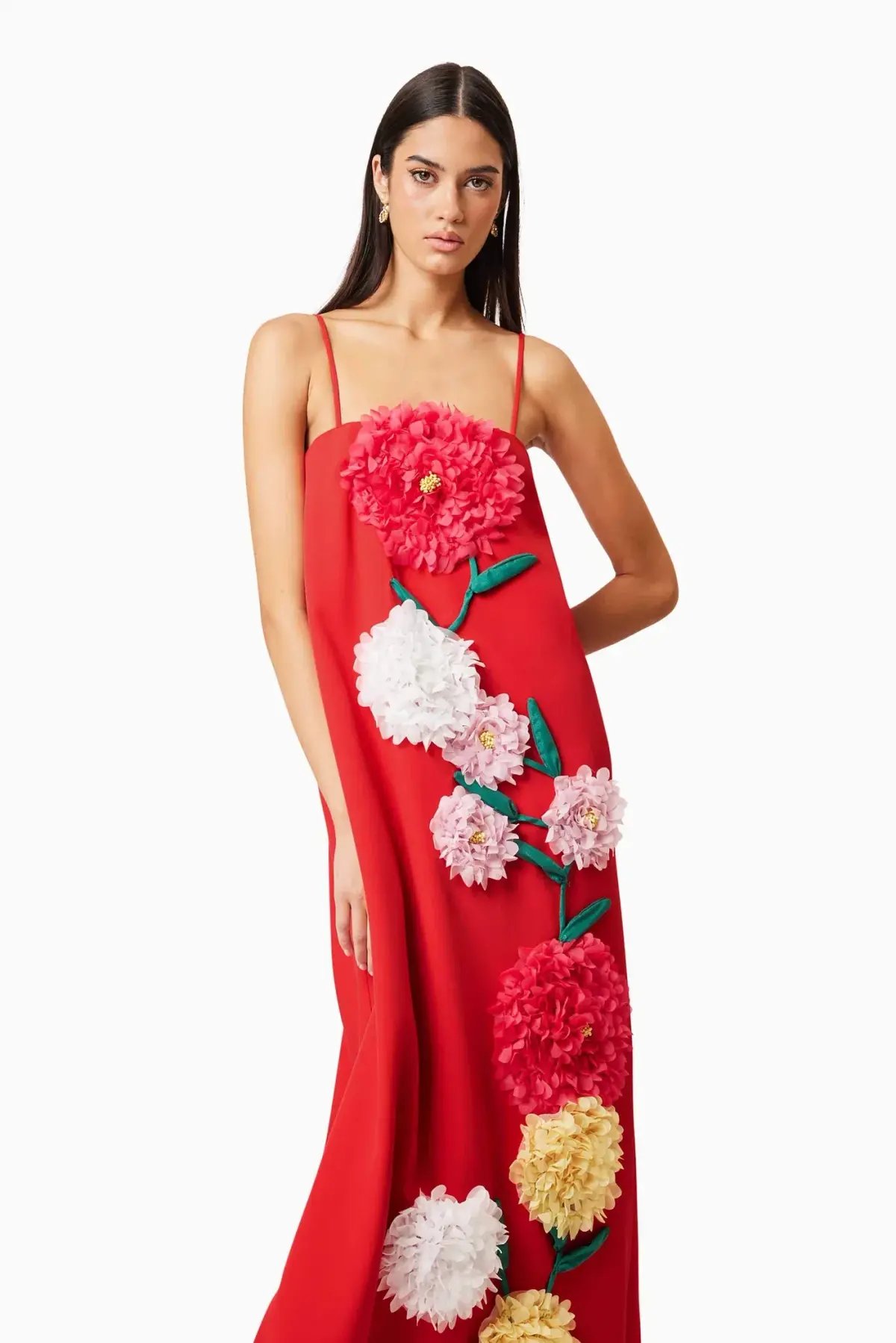 Buttercup Embroidered Maxi Dress In Red photo 3