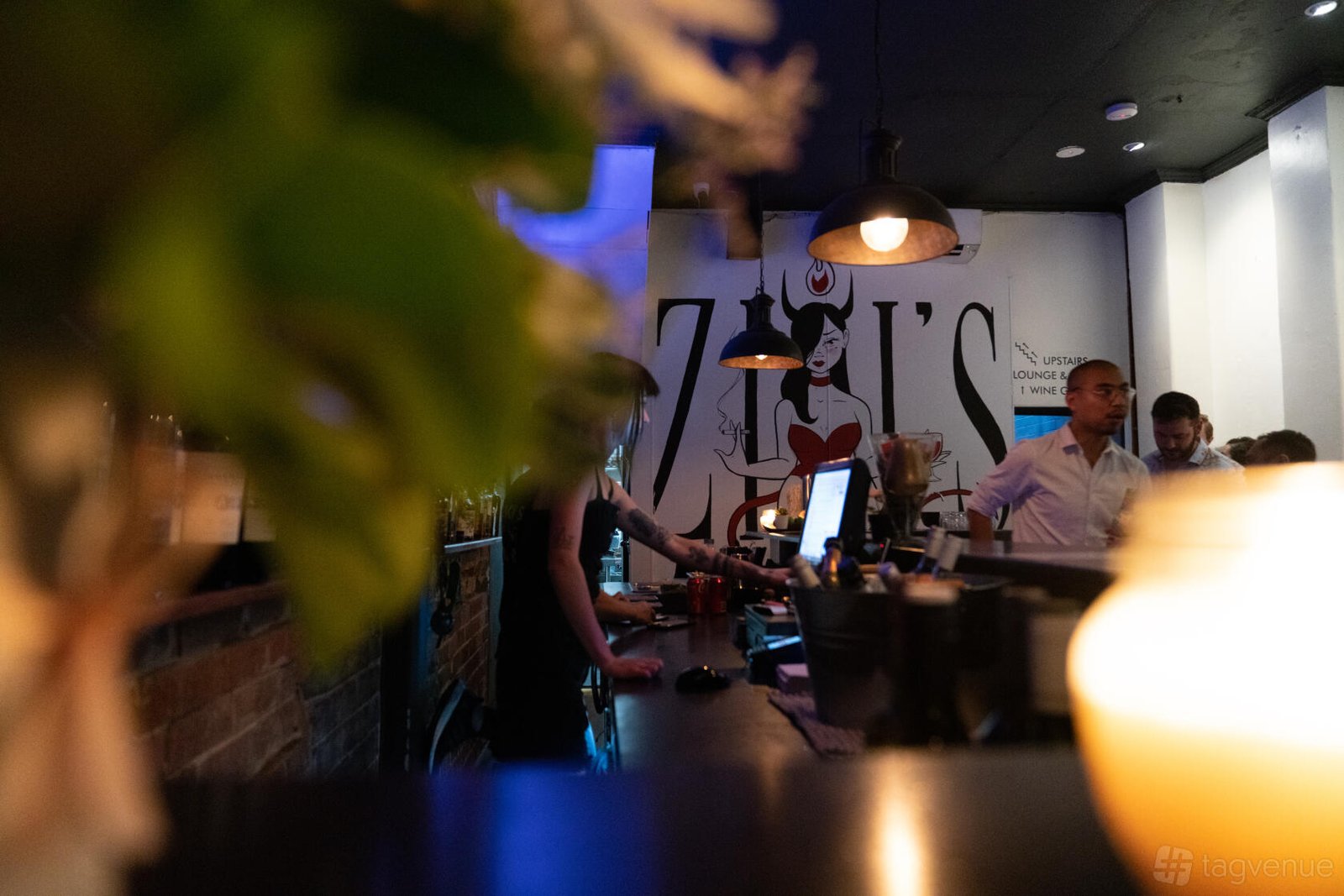 Whole Venue at Zigi's Wine Bar photo 17