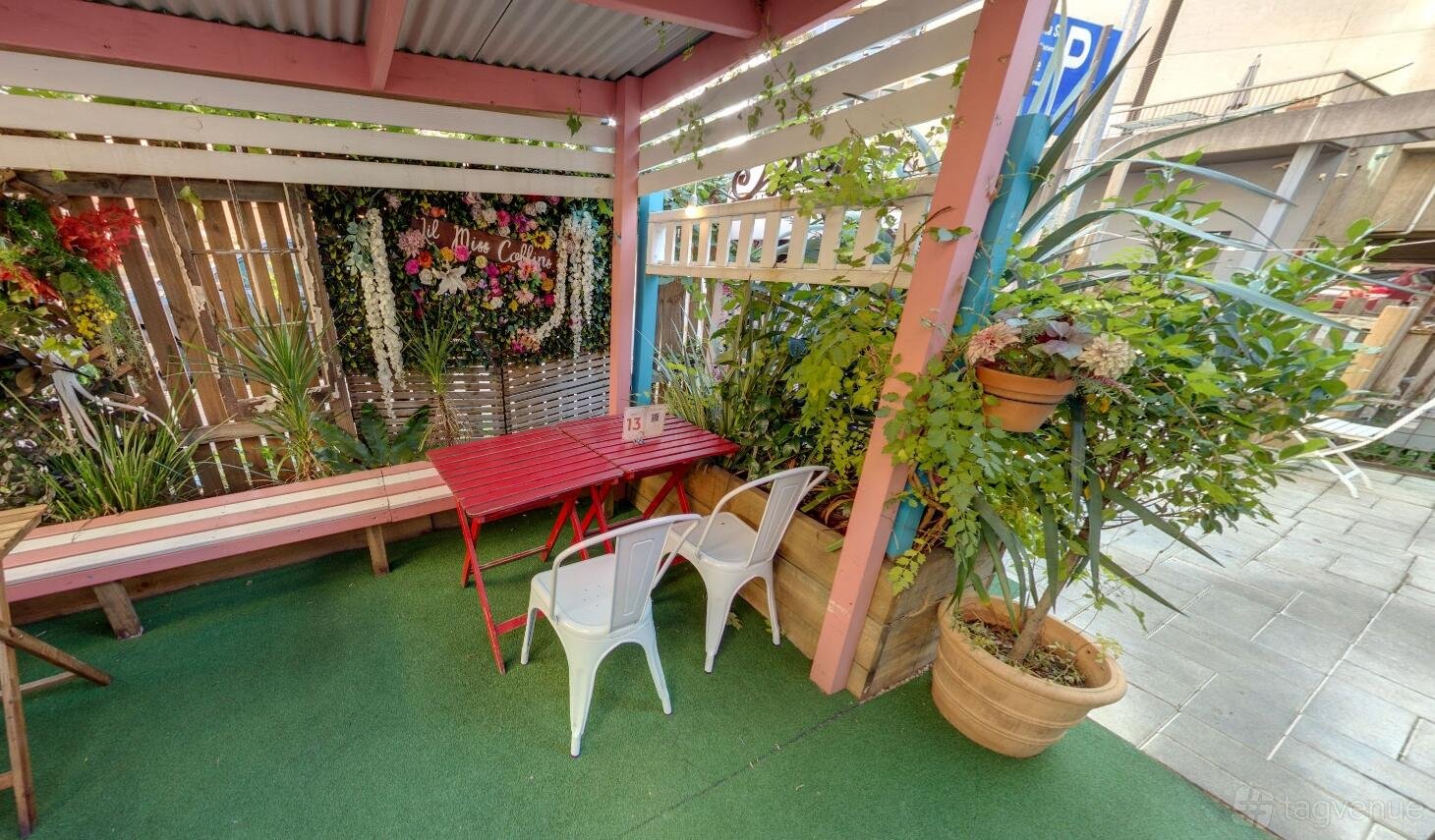 Garden at Lil Miss Collins Café Parramatta photo 5