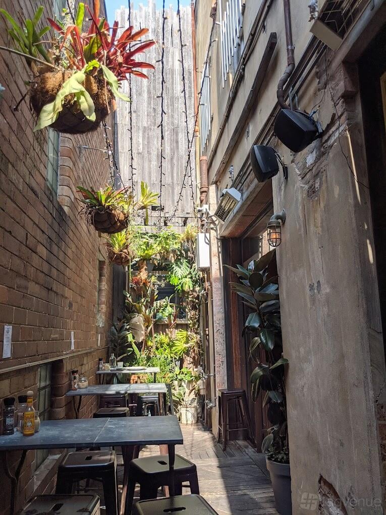 Courtyard at Belgrave Cartel photo 5