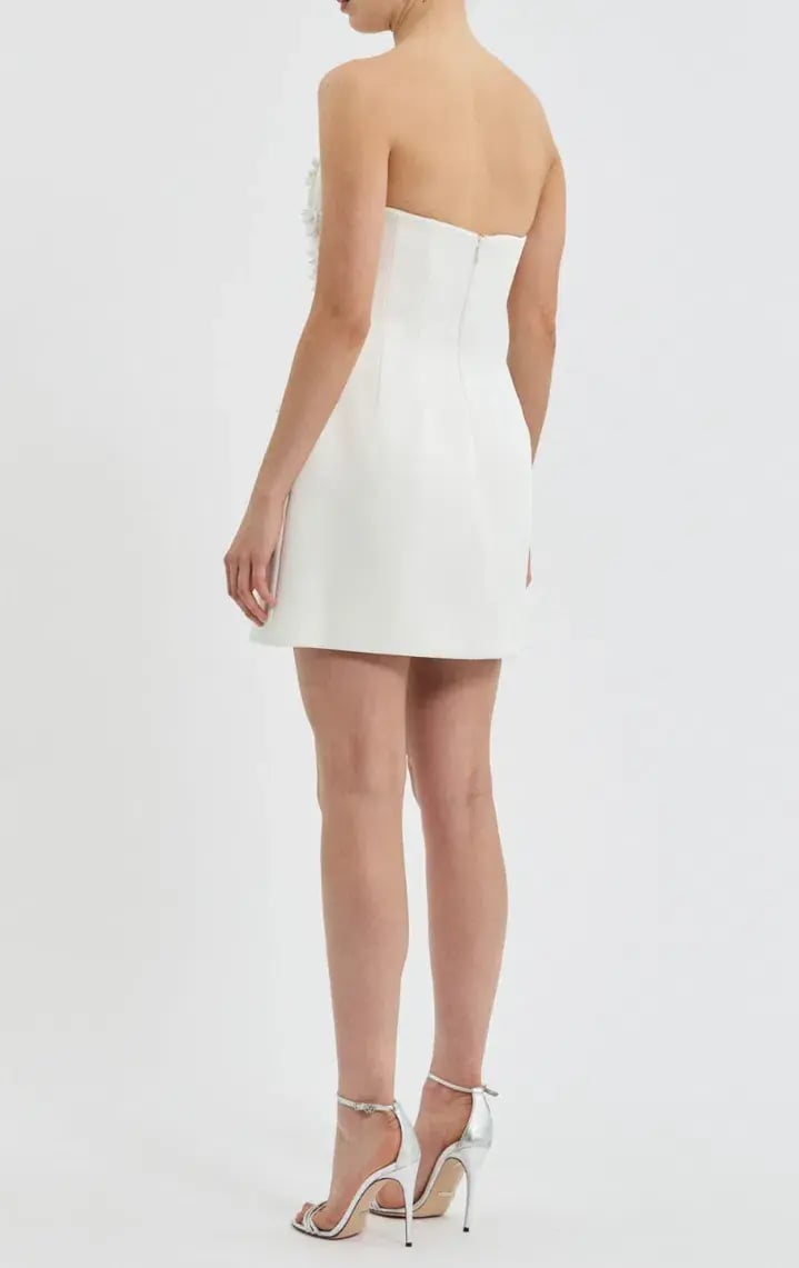 Rebecca Vallance Xanthe Mini Dress Size 6 photo 2