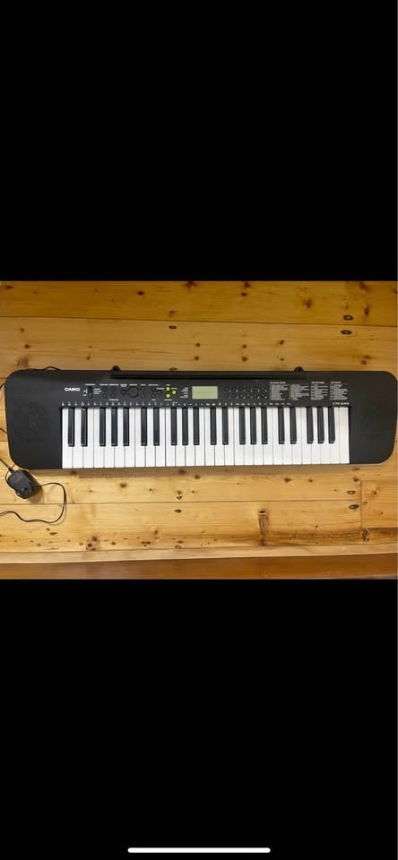 Casio CTK-240 49-Note Keyboard photo 3