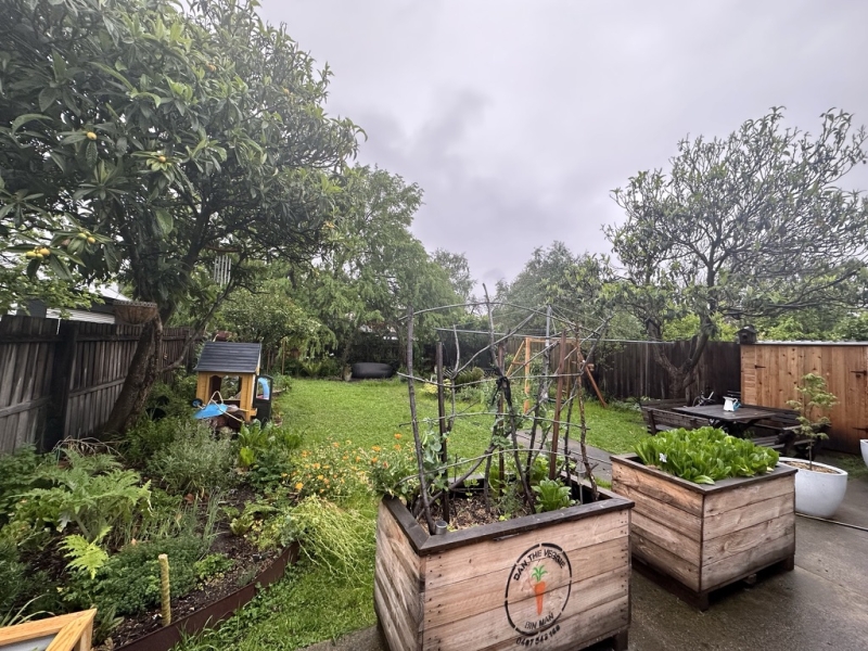 Whole House & Garden Lots of Natural Light photo 3