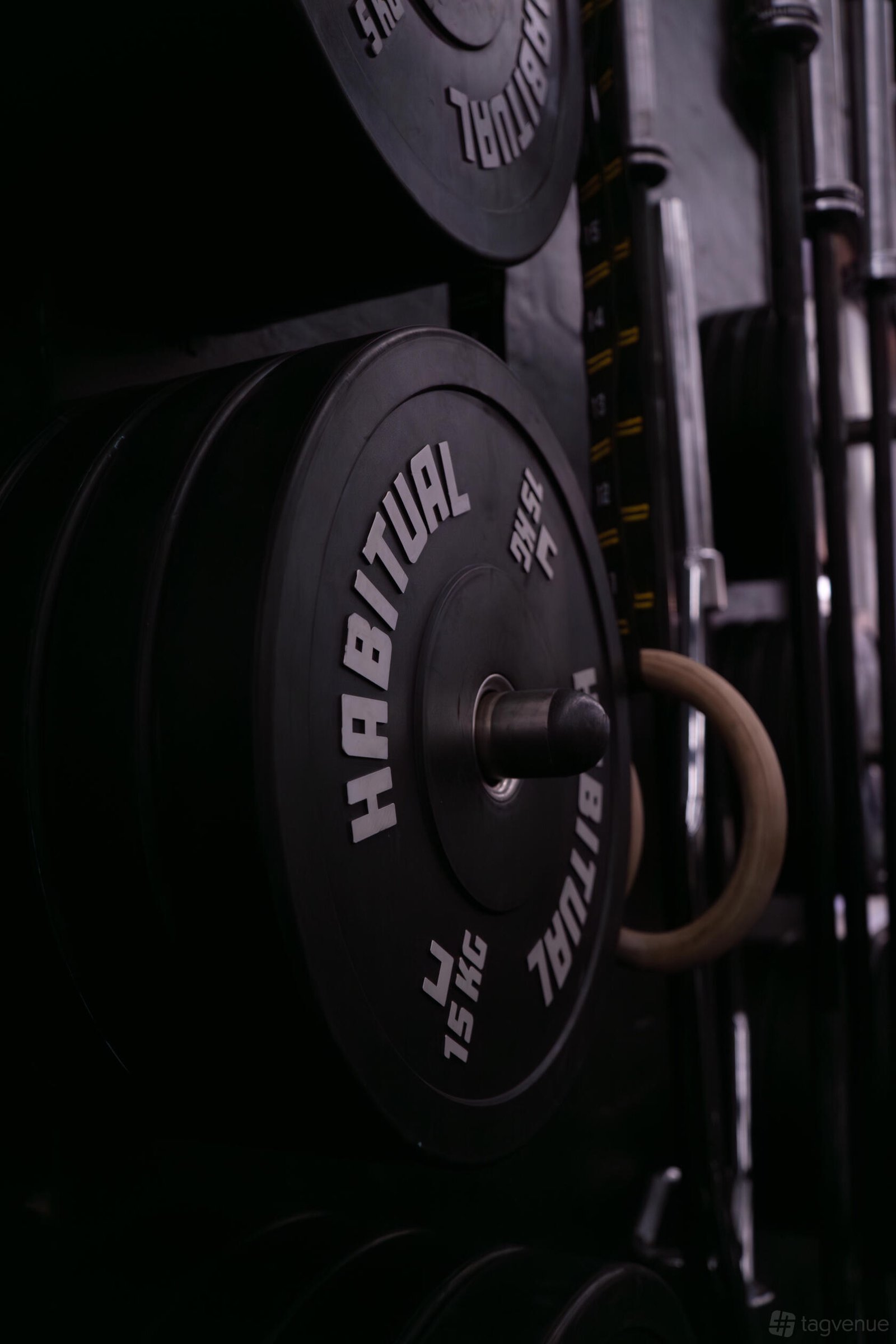 Gym Space at Creature Fitness photo 4