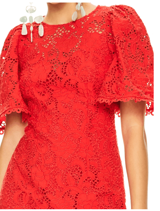 Talulah Roses Are Red Mini Dress size 12 photo 4