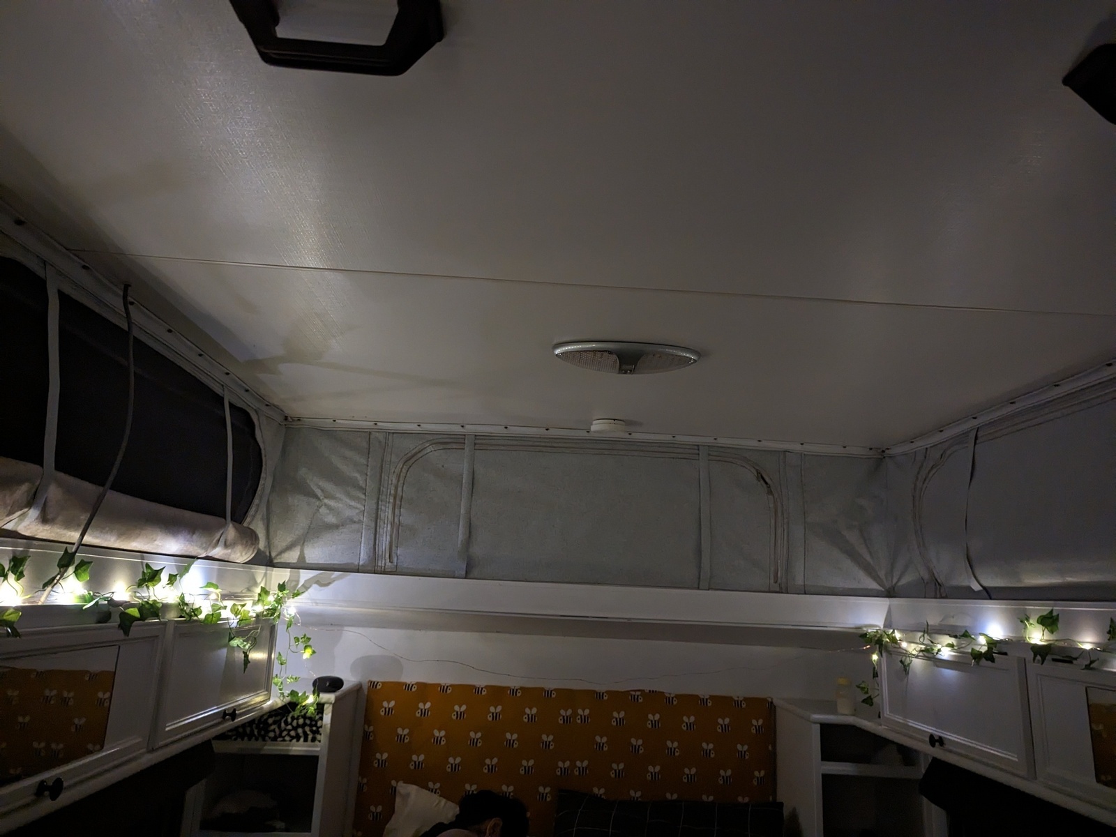 Augustine Caravan Adventures photo 11