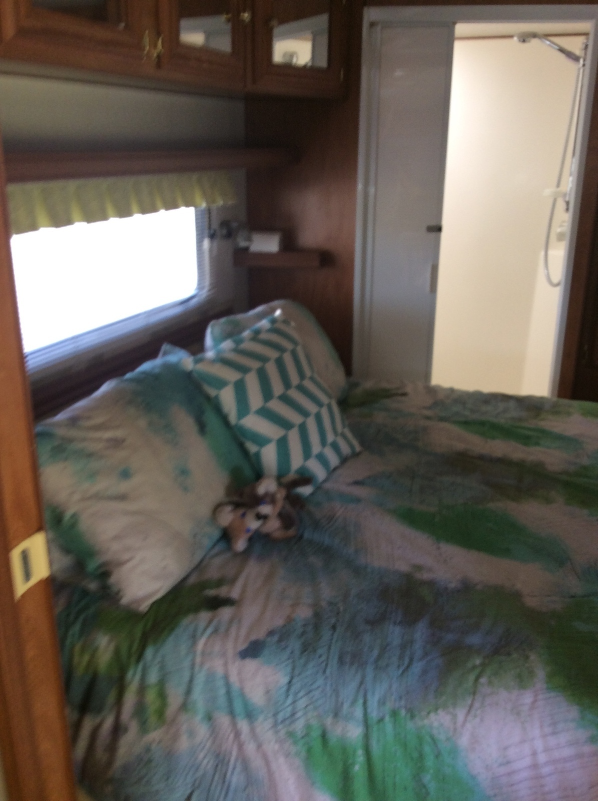 Great comfortable holday van photo 5