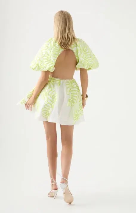 Aje Botanical Applique Mini Dress Ivory/Citrus Yellow Size 10 / M photo 2