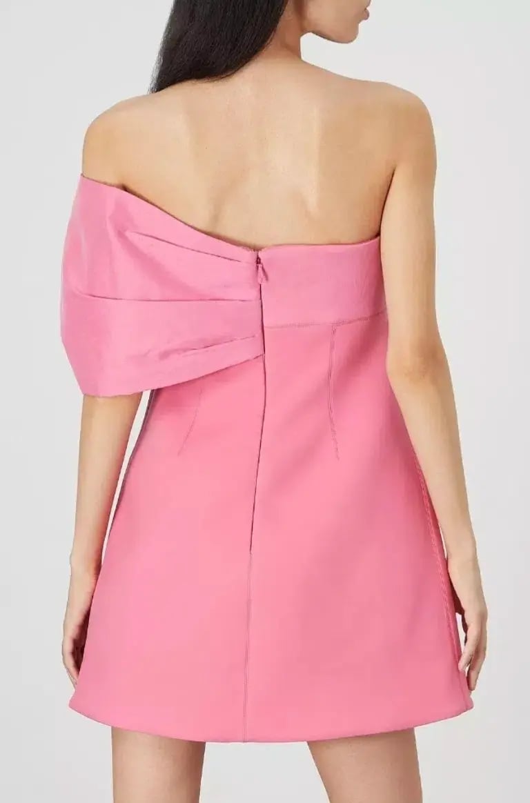 Rachel Gilbert Kace Mini Dress Pink Size2/AU10 photo 4
