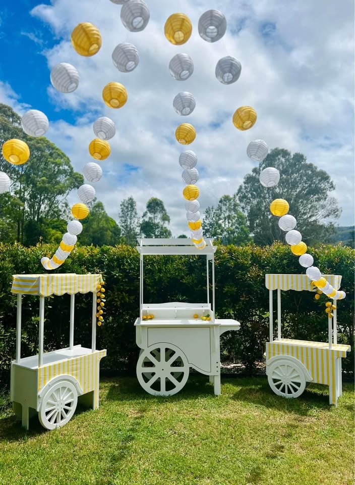 Party Hire Packages photo 9