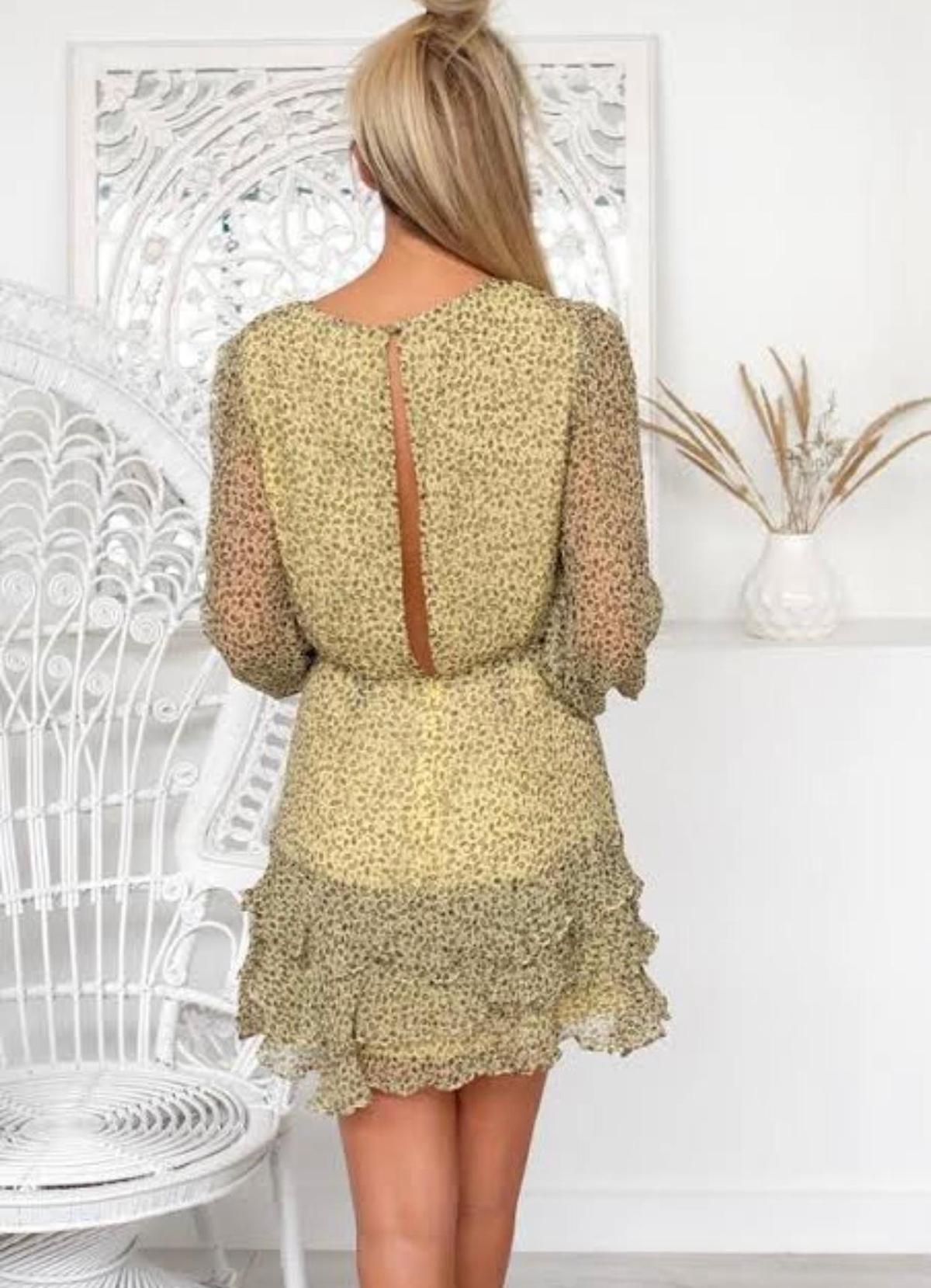 Stevie May - French vanilla mini dress XS/6 photo 2