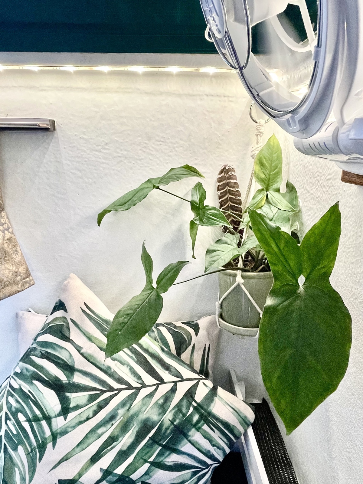 Home Sweet Roamer photo 8