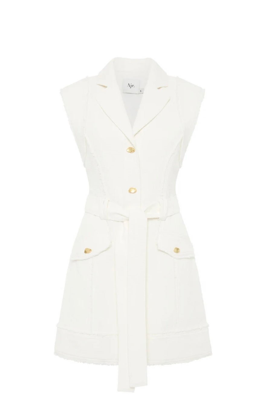 Aje Isabel Utility Mini Dress photo 3