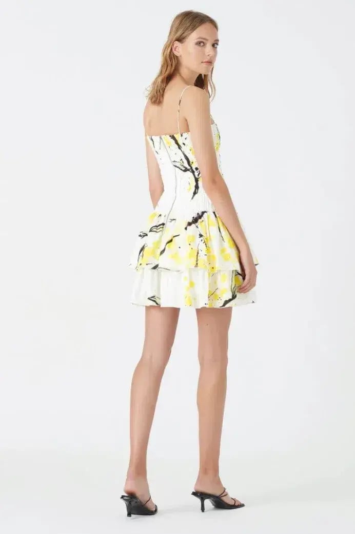 Aje Mimosa Shirred Ruffle Mini Dress Print Size 8 photo 2