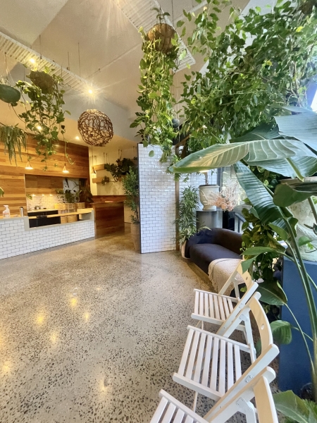 Oasis Botanicah photo 2
