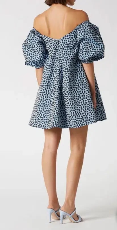 Scanlan Theodore Floral Trapeze Mini Dress Blue Size 6 photo 3