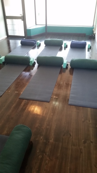 Flexible Space in Tofu for Dolphins Studio photo 4