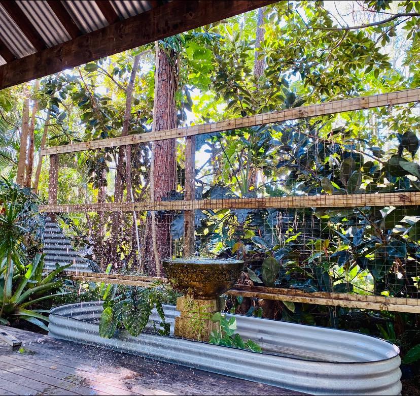 Rainforest Area at King Country Bayside photo 5