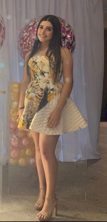Aje Chelsea Dress Print Size 8 photo 2