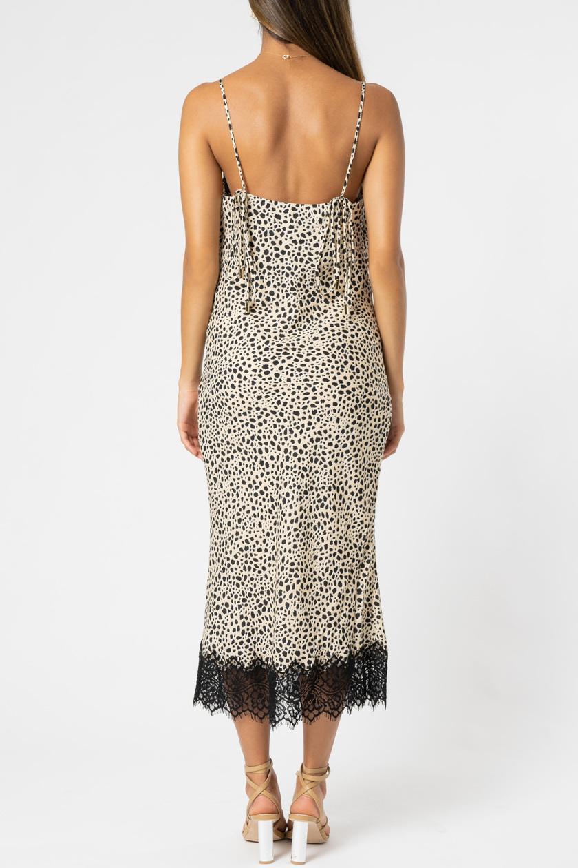 Rebecca Vallance Anya Slip Dress Animal Print Size 6 photo 3