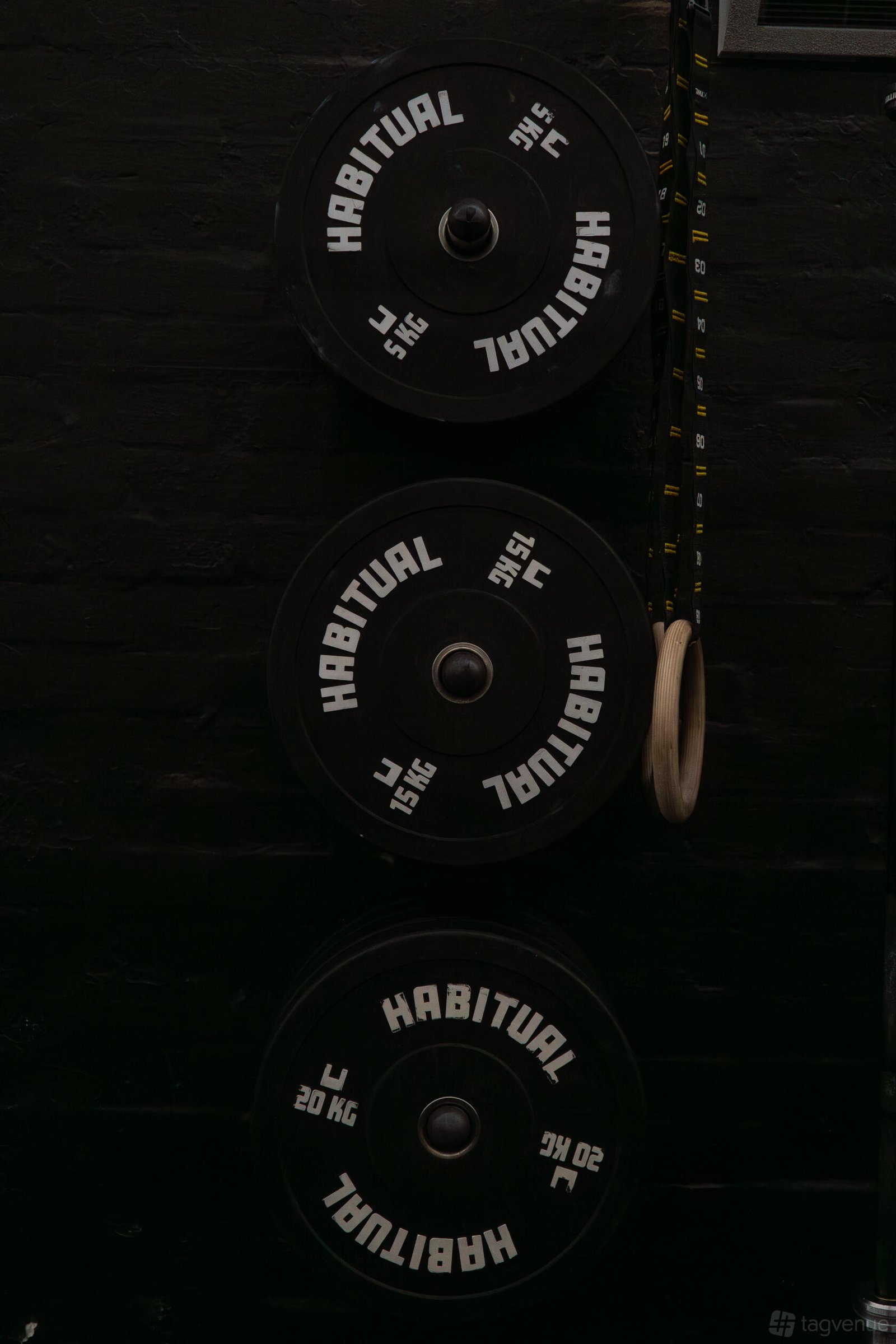 Gym Space at Creature Fitness photo 8
