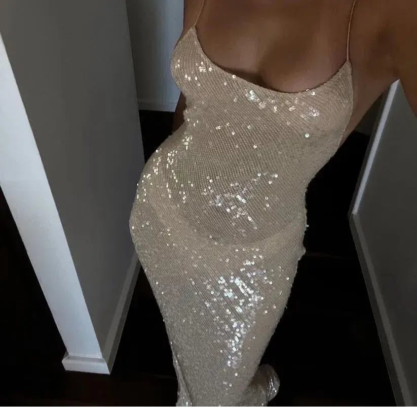 Rat And Boa Olympia Sequin Maxi Dress Size XS/AU6 photo 3