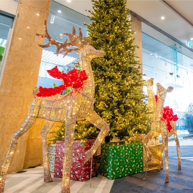 Daintree at Voco Hotel Brisbane City Centre photo 12
