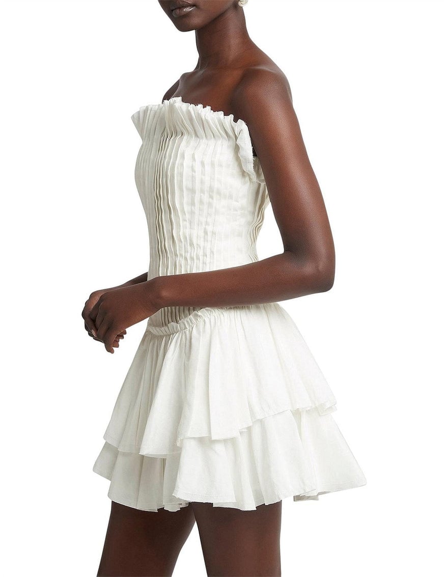 Aje Utopia Mini Dress photo 3