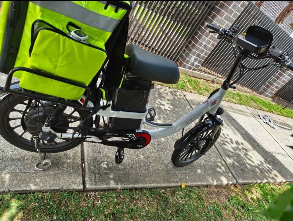 Electric Bike photo 3