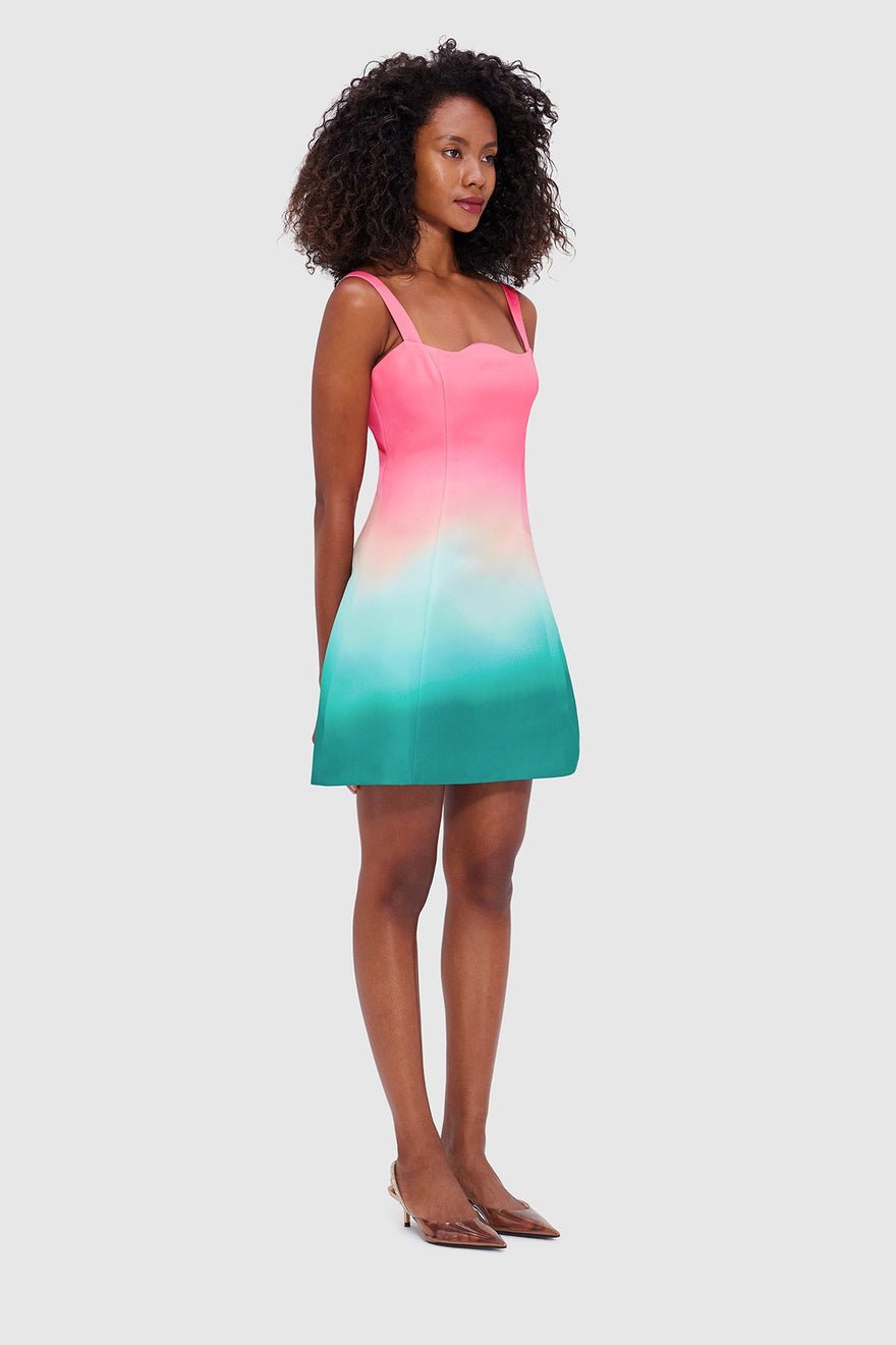 Leo Lin Abigail Mini Dress - Whimsical photo 3