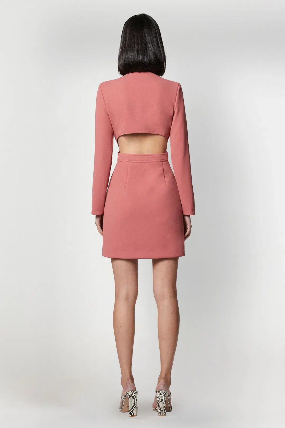 Elliatt Ametrine Dress Rose Size S/Au 8 photo 3
