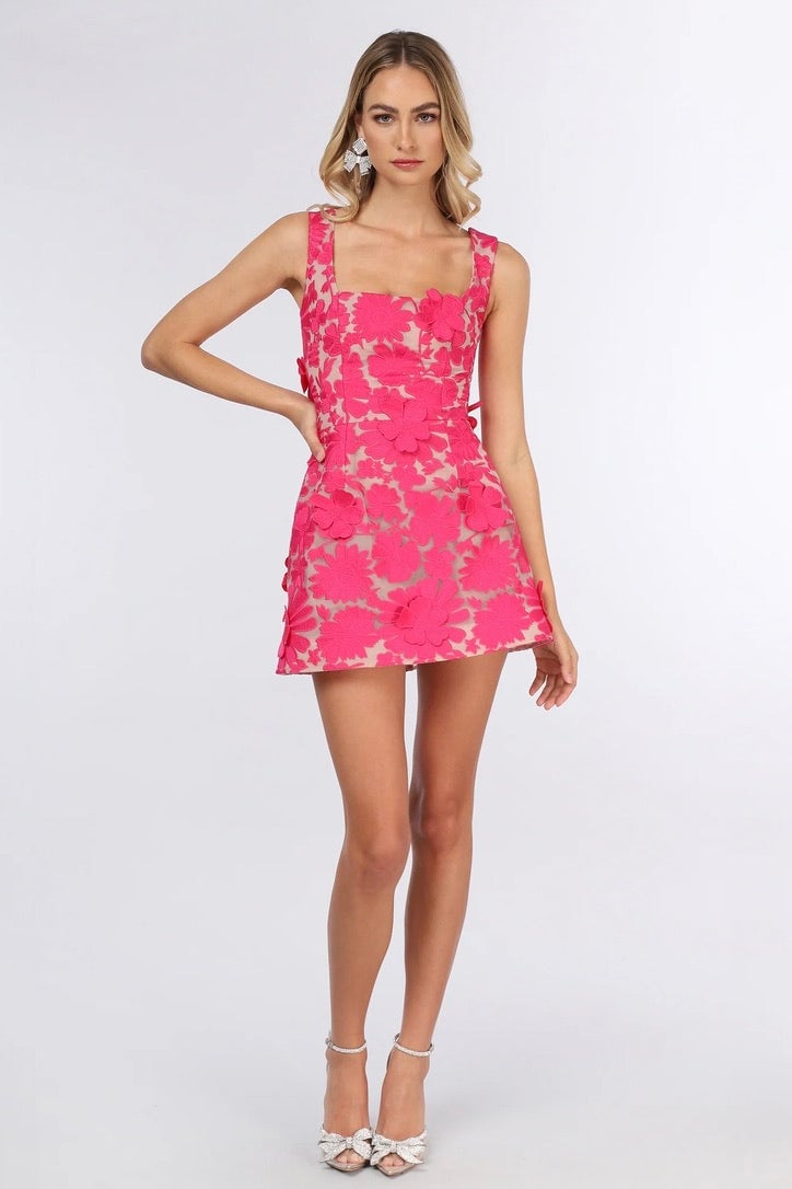 Helsi Belen Dress - Garden Pink photo 3