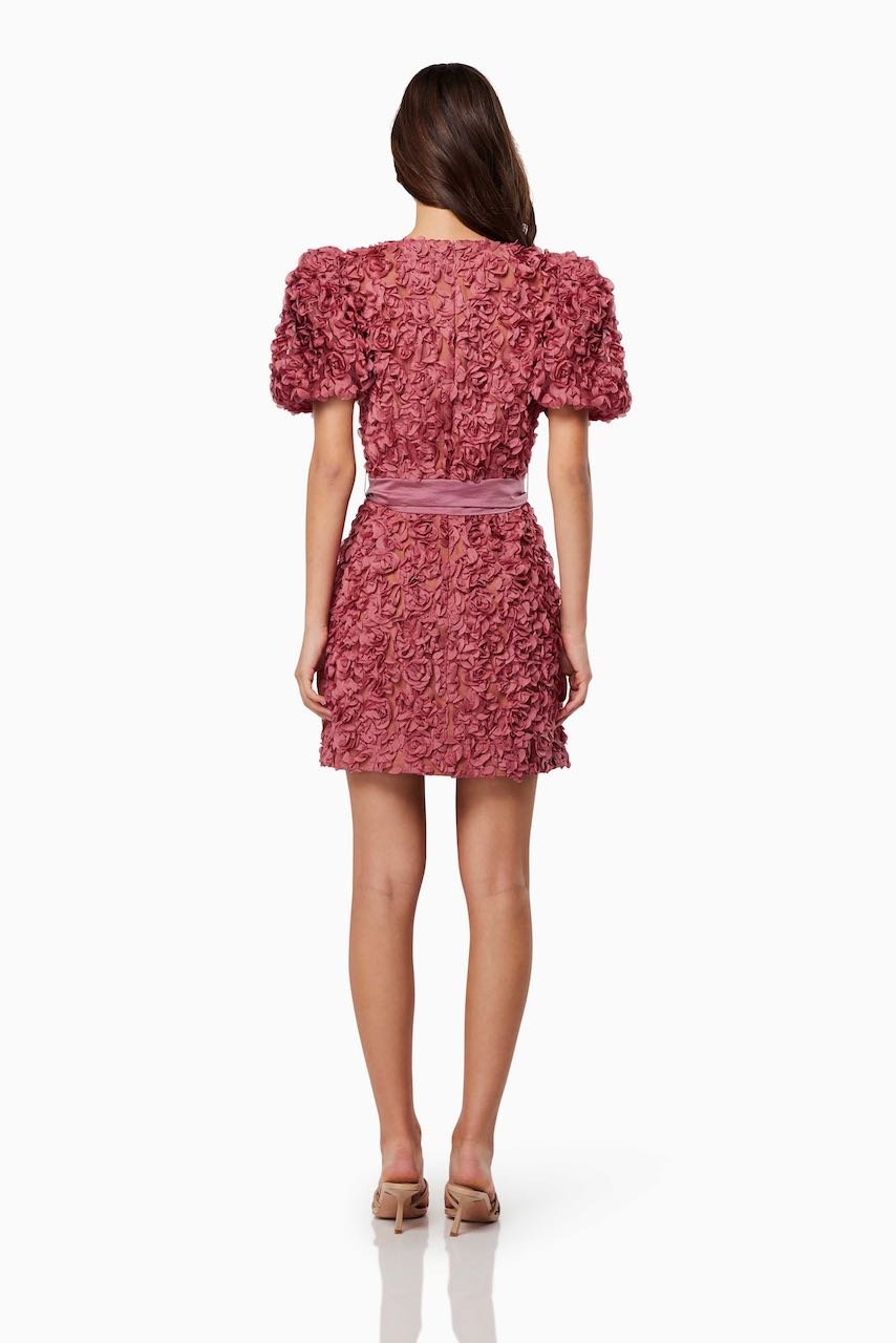 ELLIATT ADORATION DRESS - ROUGE PINK photo 4