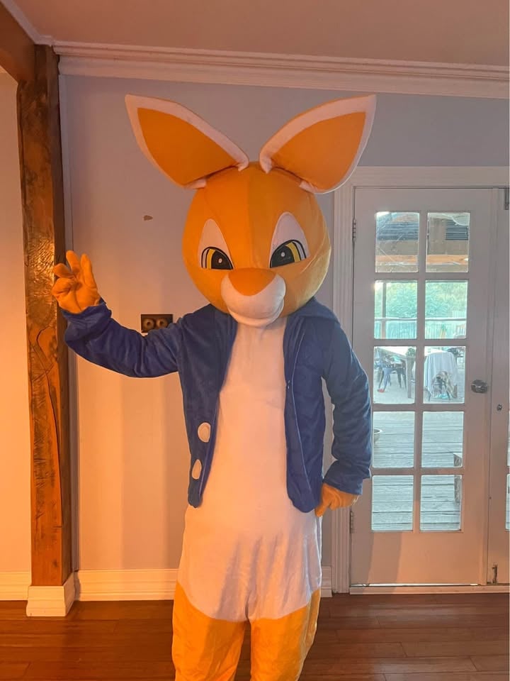 Mascot costumes for Hire/sale photo 8